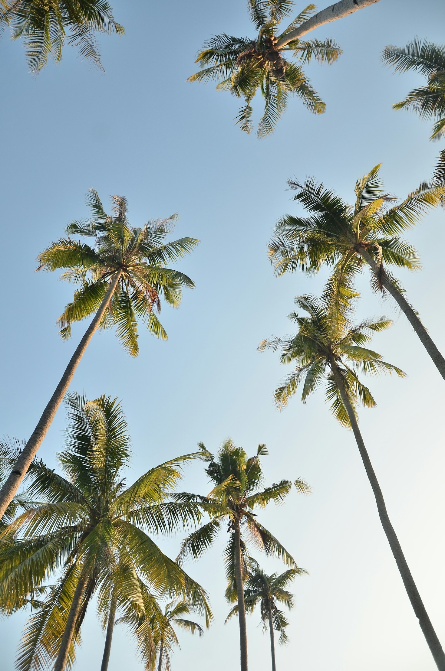 10 Cultural Traditions You May Not Know About